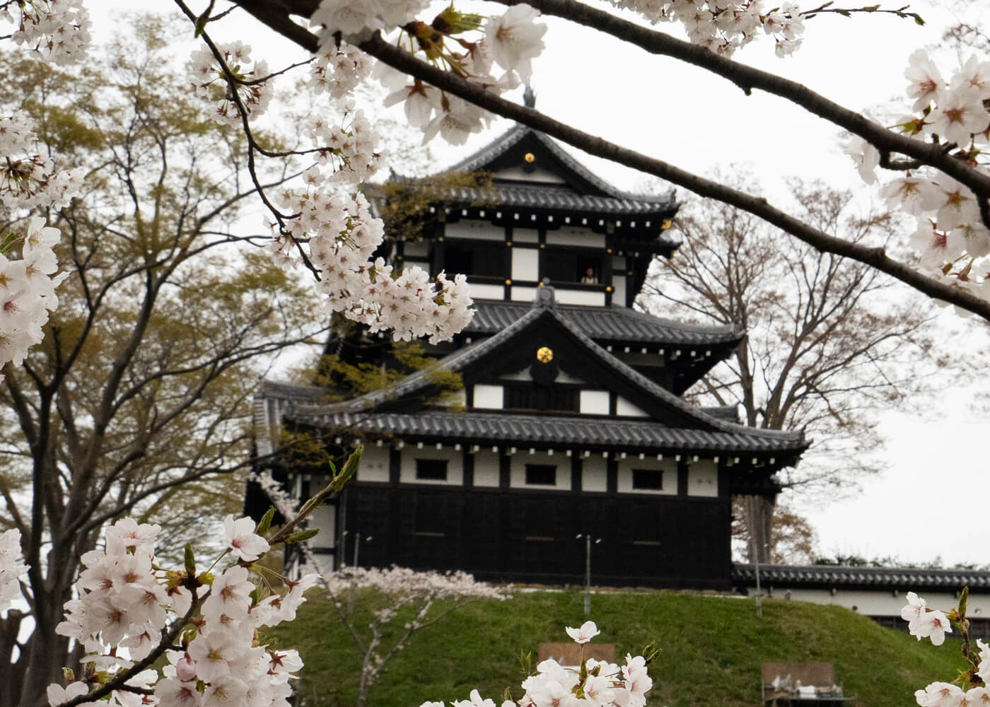 高田城址公園